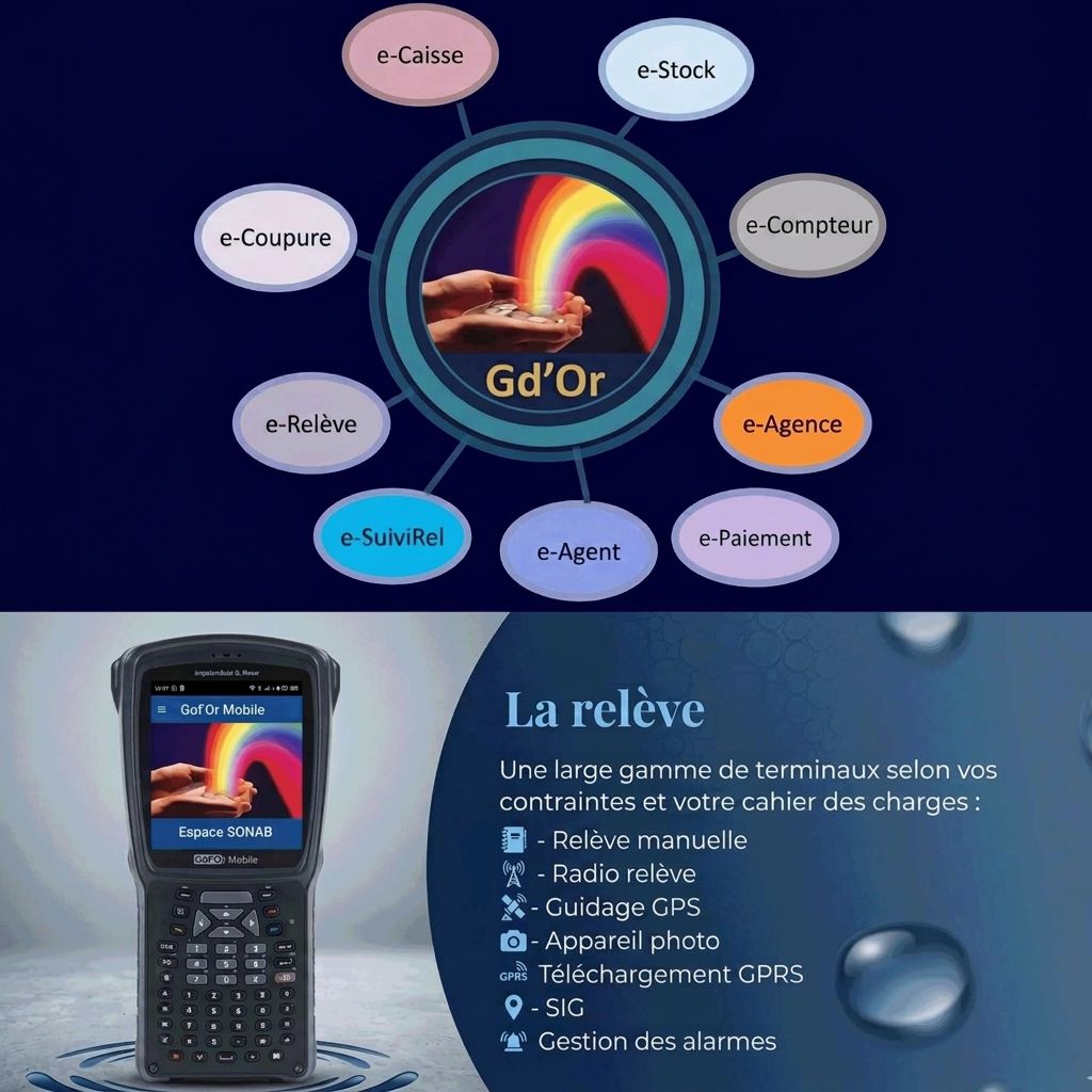 Application e-Relève